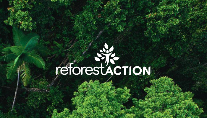 reforestaction