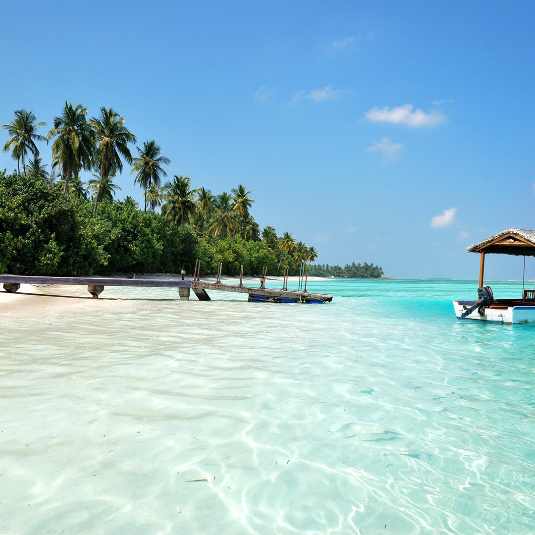 maldives-voyage-de-noces-cocotier